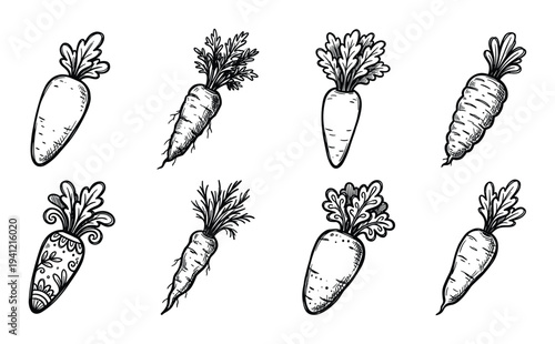 Set of carrots with tops hand drawn in doodle style, root vegetable, fresh whole carrots, sketch