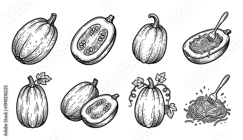 Set of eight hand-drawn illustrations of whole and cut spaghetti squash, with prepared pasta