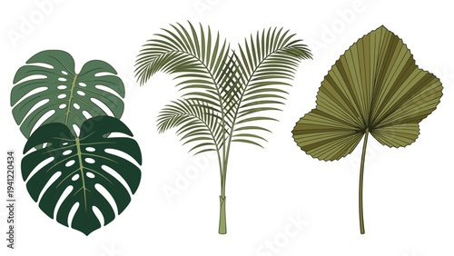 An elegant set elements various tropical foliage collection with lush green palm and exotic monstera leaves