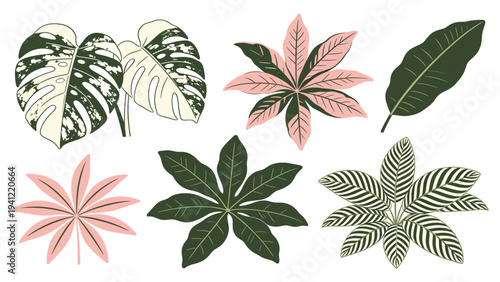 A decorative set of various tropical foliage collection elements, featuring diverse botanical leaves perfect for design projects and exotic themes