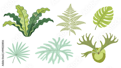 Explore this vector set elements various tropical foliage collection featuring diverse green leaves and exotic plant designs for botanical projects