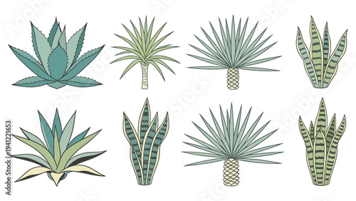 Illustrated set showcasing various tropical foliage and desert plant collection elements for creative designs