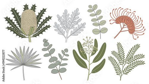 A comprehensive set of various tropical foliage elements and botanical illustrations forming an elegant nature collection for diverse design projects