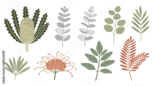 Vibrant illustrative set elements various tropical foliage collection, featuring diverse botanical leaves and blooming flowers for creative projects