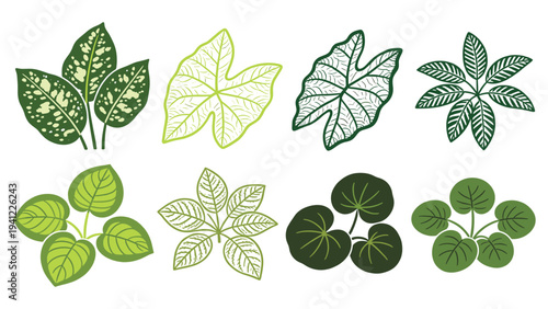 Vector set elements various tropical foliage collection with diverse green leaves, botanical decorative illustrations