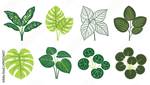 A vibrant set of various tropical foliage elements, creating a botanical collection perfect for diverse design projects and natural themes