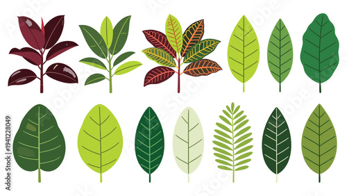 A vibrant collection of diverse tropical foliage elements, showcasing various green and colorful plant leaves for botanical designs and nature-inspired aesthetics