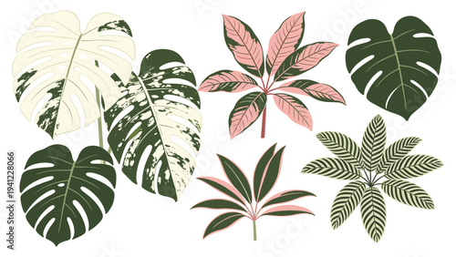 A beautiful set elements various tropical foliage collection, highlighting variegated and diverse leaf patterns