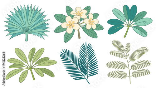 A delightful collection of various tropical foliage elements, showcasing a diverse set of exotic leaves and plants