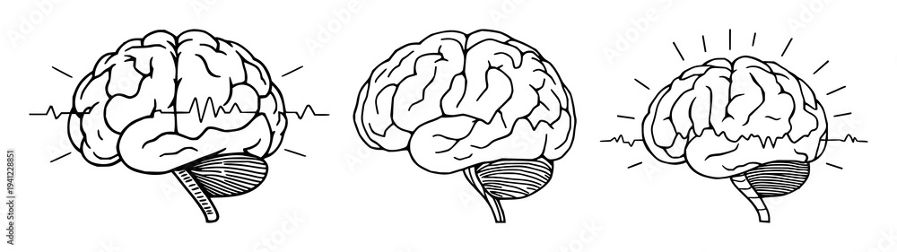 Fototapeta premium Brain set with continuous line drawing of a minimalist brain with electrical pulses, cognitive enhancement theme featuring thin line, white background and illustration vector