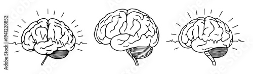 Brain set with continuous line drawing of a minimalist brain with electrical pulses, cognitive enhancement theme featuring thin line, white background and illustration vector