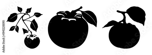 Persimmon set with solid black silhouette of a whole persimmon fruit with a small stem featuring botanical, seasonal, solid fill with white background and vector