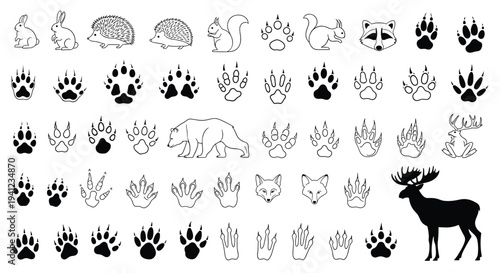 Large collection of various animal footprints and tracks alongside silhouettes of a rabbit, bear, fox, and moose in a clean black and white style.