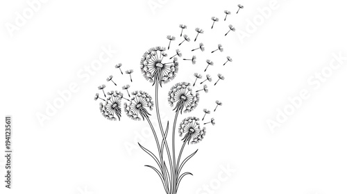 Monochrome botanical illustration of a bouquet of wildflowers with drifting dandelion seeds in an ink sketch