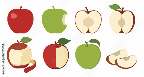 Apple varieties vector set with whole cut sliced and bitten fruit isolated on white