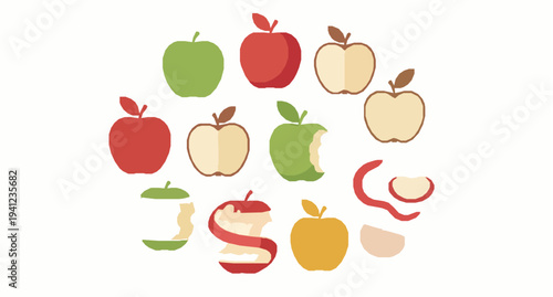 Assorted apples vector illustration with sliced bitten and whole fruits collection