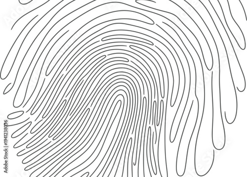Fingerprint detail