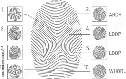 Detailed fingerprint patterns