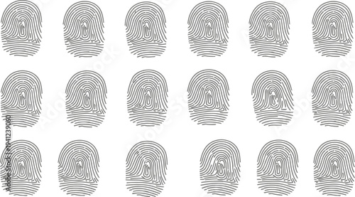 Collection of fingerprint patterns