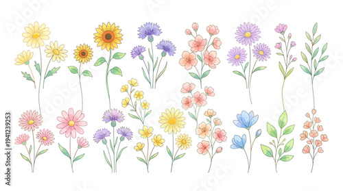 Watercolor bouquet of wildflowers and sunflowers, a hand-painted botanical illustration in pastel pinks, purples, yellows, and greens.