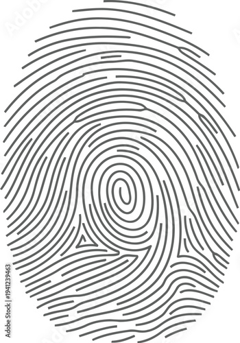 Fingerprint identification