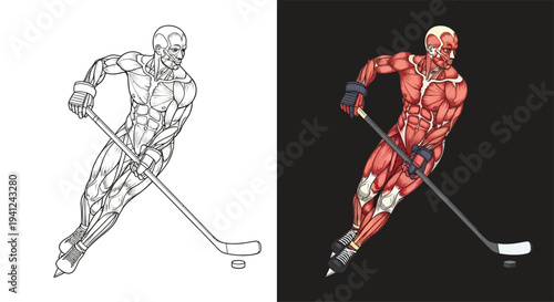 Detailed anatomical illustration of a hockey player's muscular system in action, presented as a line art and a colored version.
