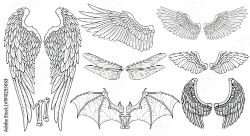 wing illustration set vector