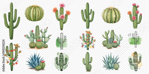 Collection of various watercolor cactus plants and succulents with flowers and decorative elements on a transparent background.