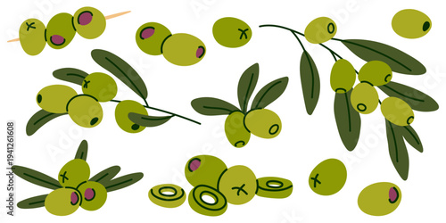 Collection of Green Olive vector Elements, branches, slices and olive skewers