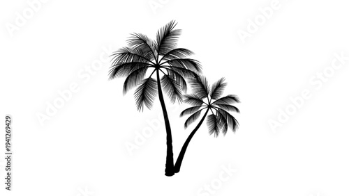 Silhouette of tropical palm trees against white background
