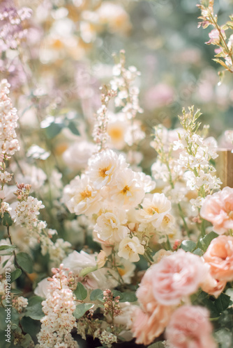 Blooming flowers in soft pastel colors, creating a beautiful nature background with glowing light and gentle bokeh