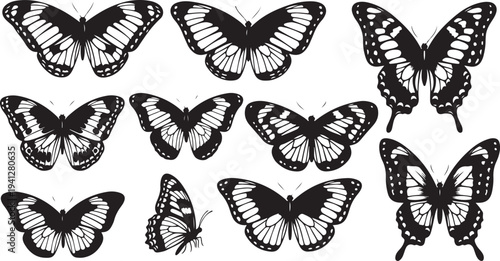 Black and white butterflies on a plain background illustration