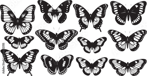 Collection of black and white butterfly illustrations on white