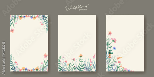 Watercolor wildflower postcards set. Vector realistic illustration of beautiful summer field flower frames and corners on white background, spring garden nature, botanical birthday card decoration
