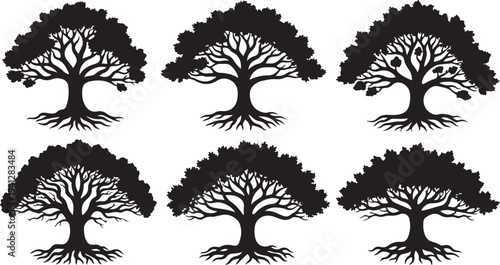 Set of tree silhouettes with roots and leaves isolated
