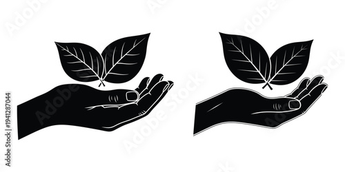 Hands holding leaves in silhouette