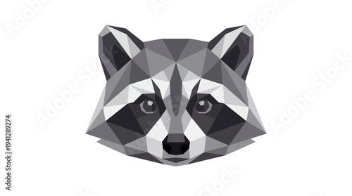 Geometric Raccoon Face Low Poly Art Style