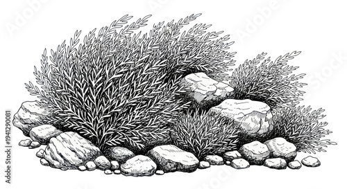 Black and White Sketch of Lush Greenery and Rocks - Nature Illustration