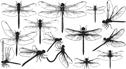 Collection of dragonflies in various poses and flying styles