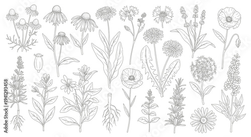 A stunning abstract vector illustration, showcasing modern digital art techniques to create a vibrant botanical background, rich with diverse plant elements for a colorful design project