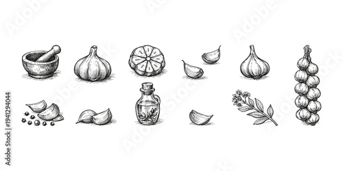 Hand-drawn sketch collection of garlic, herbs, and mortar and pestle for culinary use