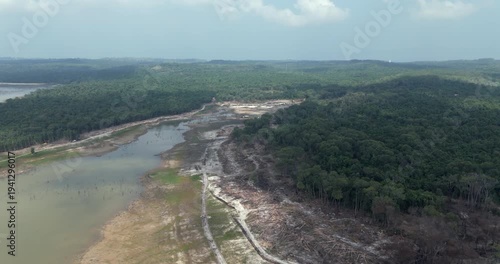 Wallpaper Mural Backward  aerial view of deforestation and land clearing featuring felled trees between a body of water and dense forest. Torontodigital.ca