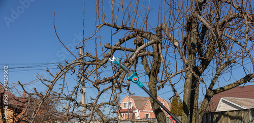 Gardener pruning fruit tree branches with electric pole saw in early spring