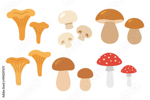 Wild Forest Mushroom Collection, Edible Chanterelle and Amanita Fungi Clipart, Autumn Nature Botanical Vector