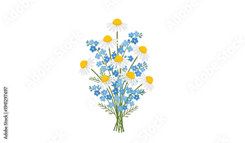 Wild chamomile and blue forget me not floral bouquet vector clipart isolated on transparent background
