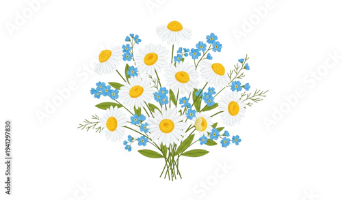 Chamomile and forget me not flower bouquet vector illustration white and blue floral design isolated on transparent background