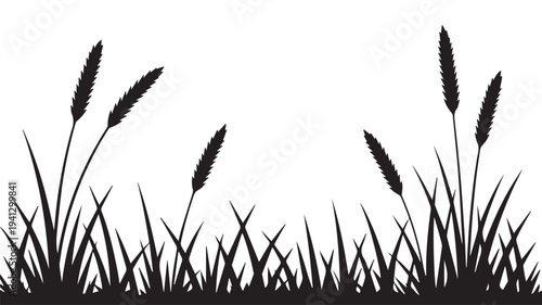 Cattails in grassy field with silhouette style in black color on white background for nature illustration