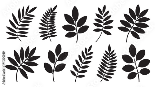 Black Silhouette Leaves Collection in Simple Flat Design on White Background for Graphic Design