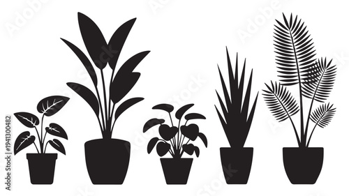 Potted plants collection in modern minimalist silhouettes with black and white contrast for home decor