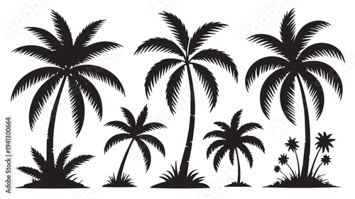 Palm Trees Silhouette Collection in Modern Minimalist Style with High Contrast Black and White for Tropical Design
